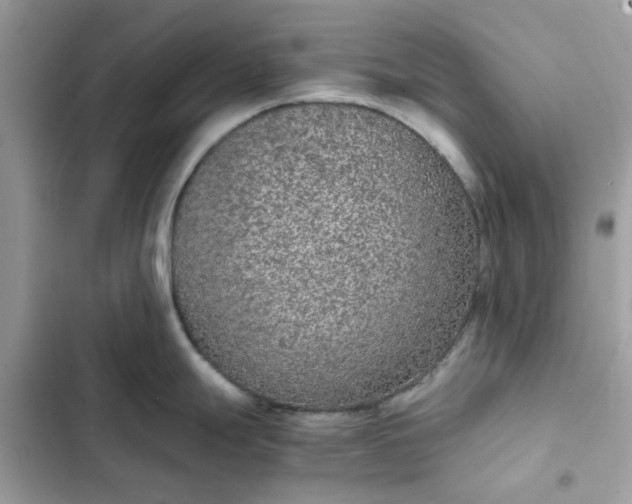 X0000102381247200808151850