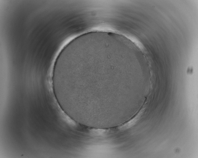 X0000102381248200808151850