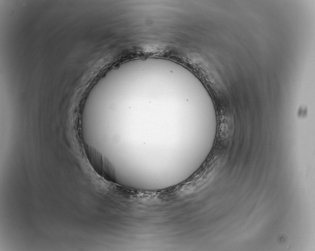 X0000102381249200808151850