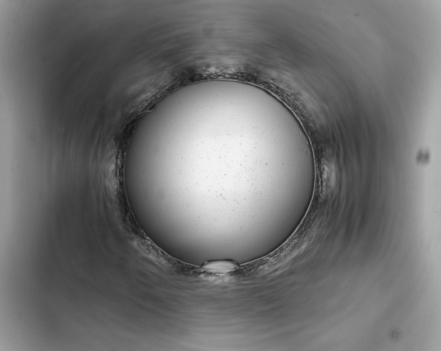 X0000102381250200808151850