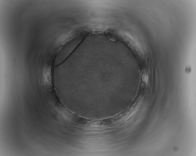 X0000102381252200808151850