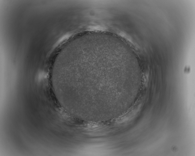 X0000102381254200808151850