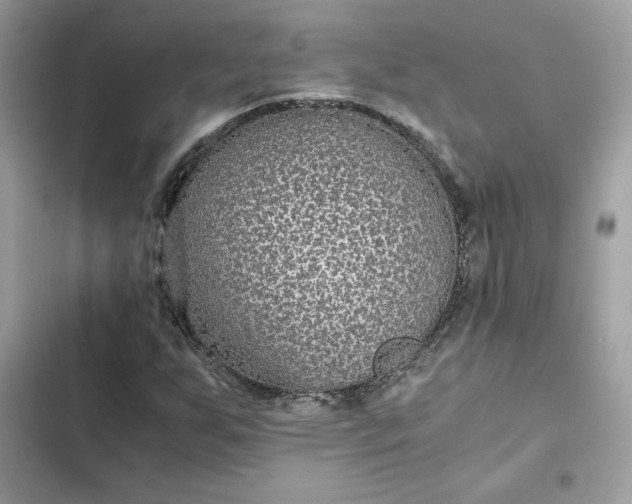 X0000102381255200808151850