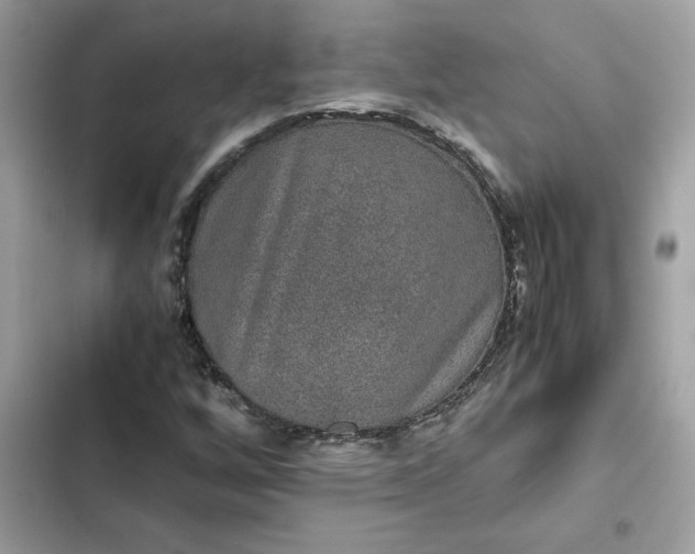 X0000102381256200808151850