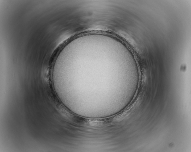 X0000102381258200808151850