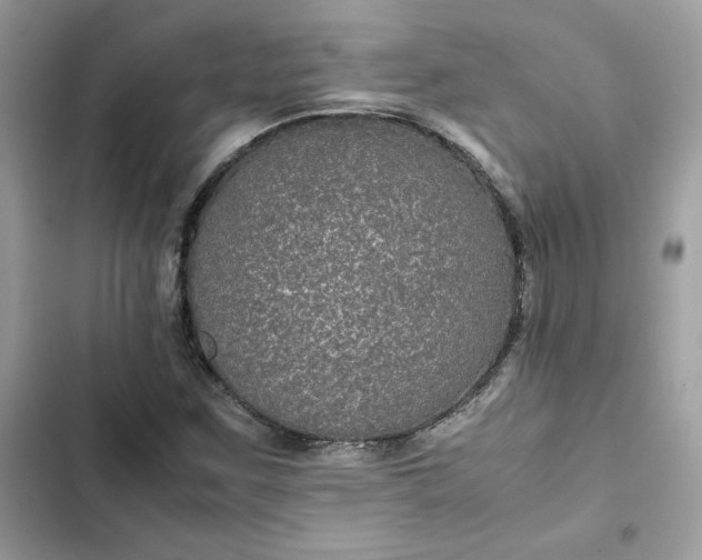 X0000102381259200808151850