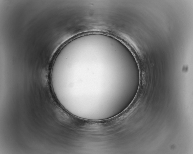 X0000102381260200808151850