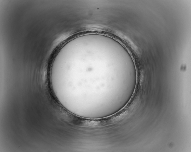 X0000102381261200808151850