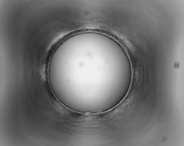 X0000102381262200808151850