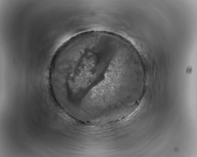 X0000102381263200808151850