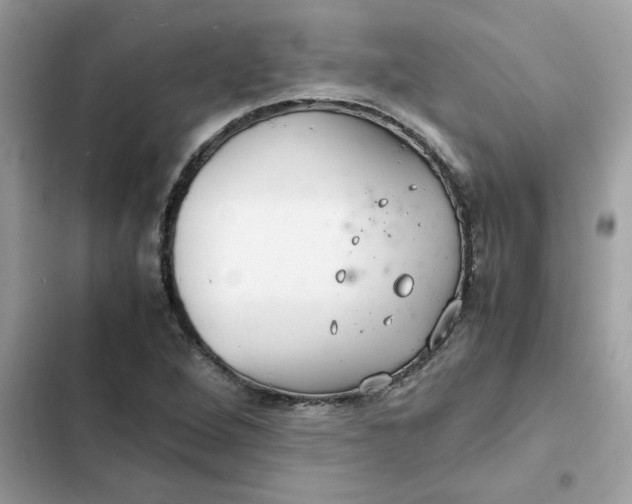 X0000102381264200808151850