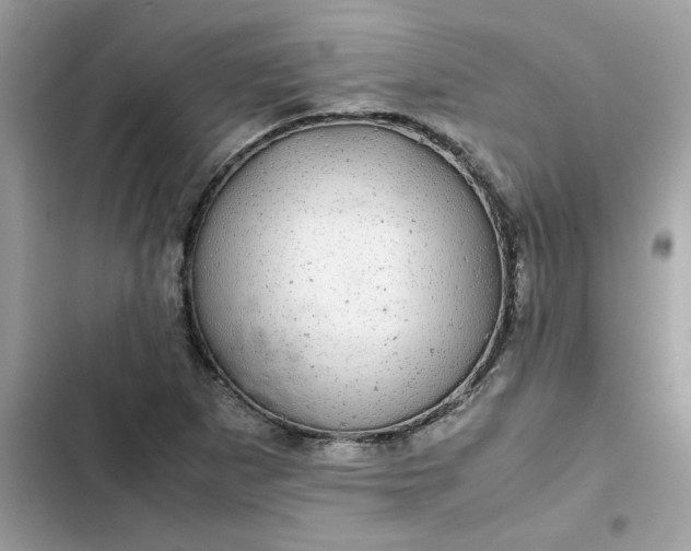 X0000102381265200808151850