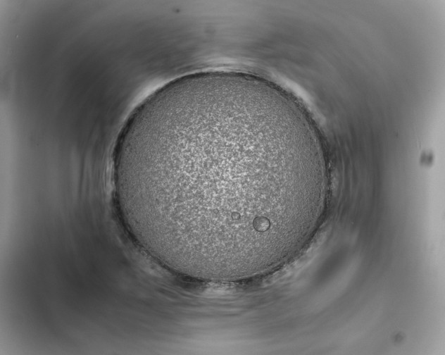 X0000102381267200808151850