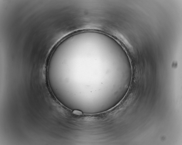 X0000102381268200808151850