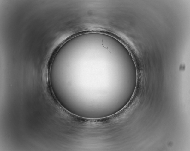 X0000102381269200808151850