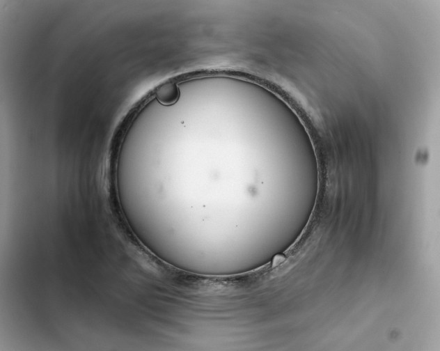 X0000102381270200808151850