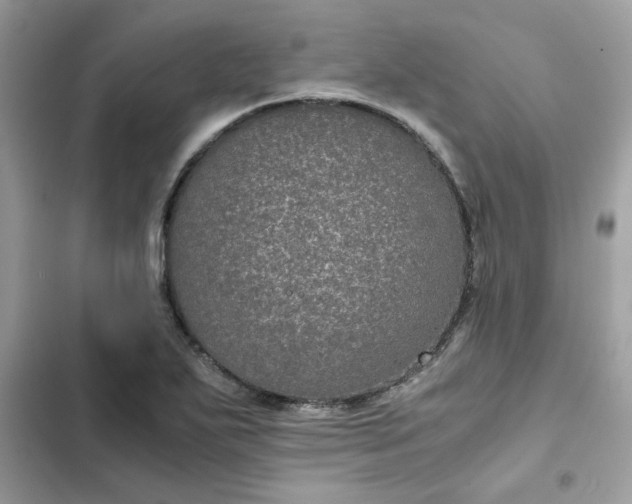 X0000102381271200808151850