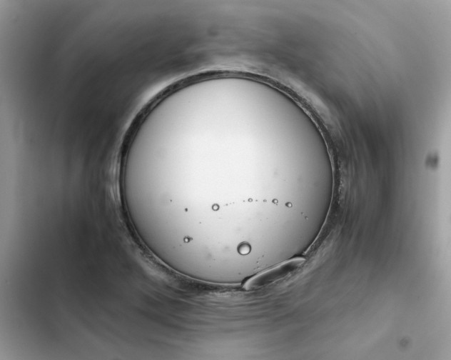 X0000102381272200808151849