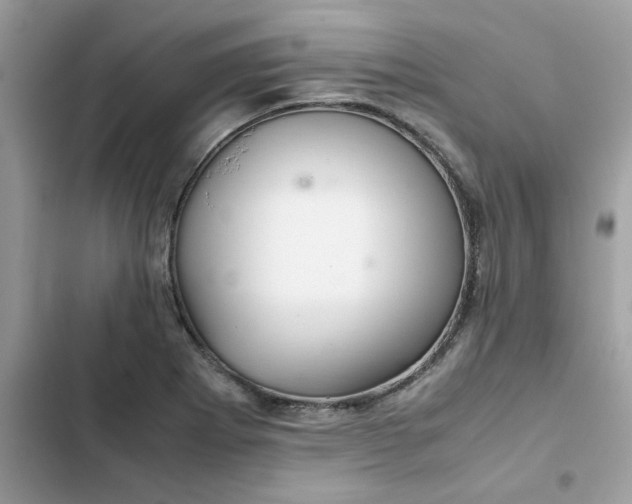 X0000102381273200808151849