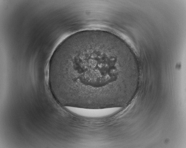 X0000102381275200808151849