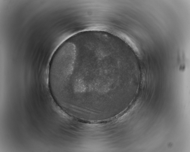 X0000102381276200808151849