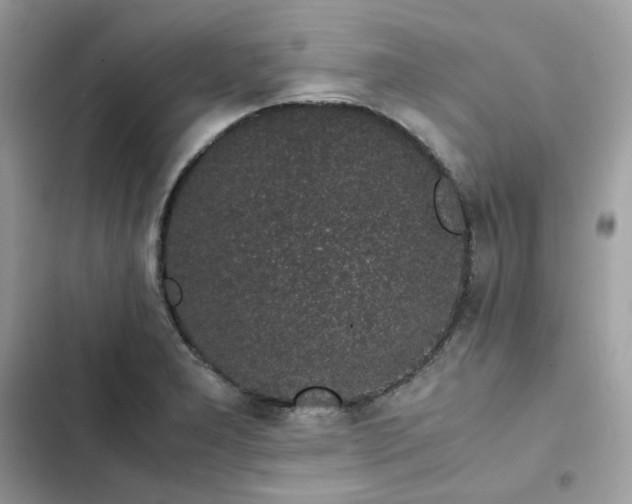 X0000102381277200808151849