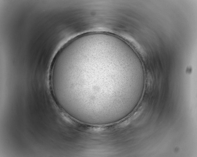 X0000102381278200808151849