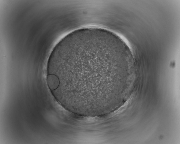 X0000102381279200808151849