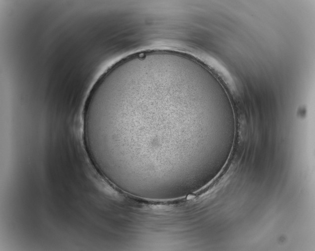 X0000102381280200808151849