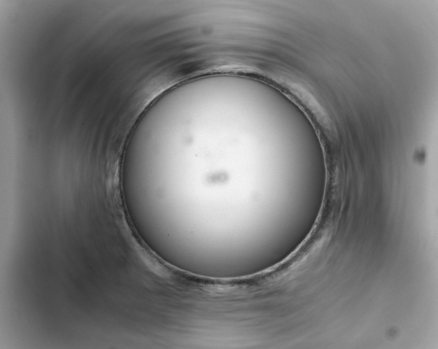 X0000102381281200808151849