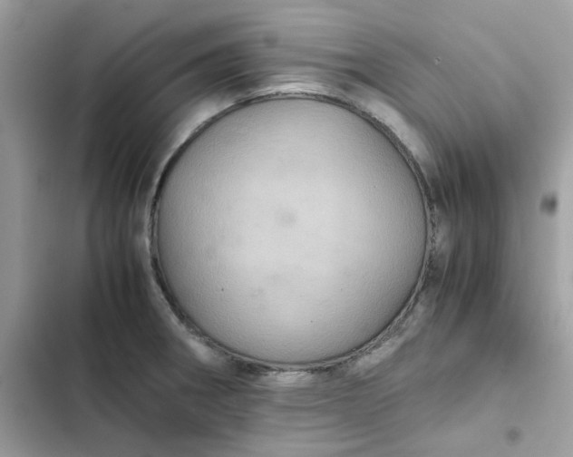 X0000102381282200808151849