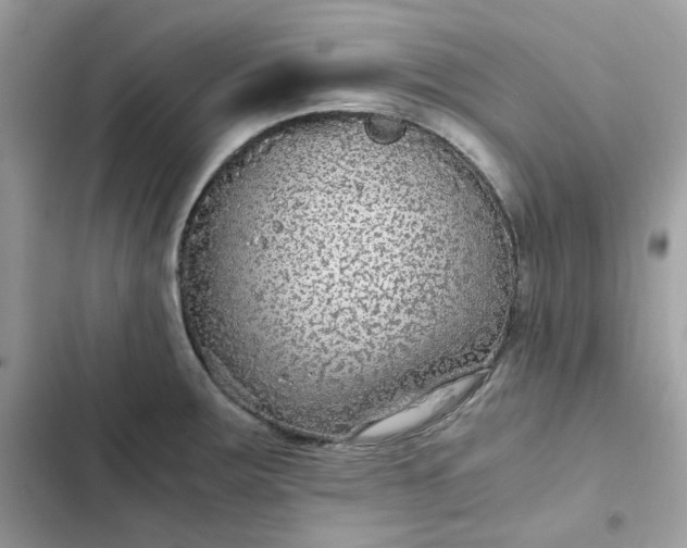 X0000102381283200808151849