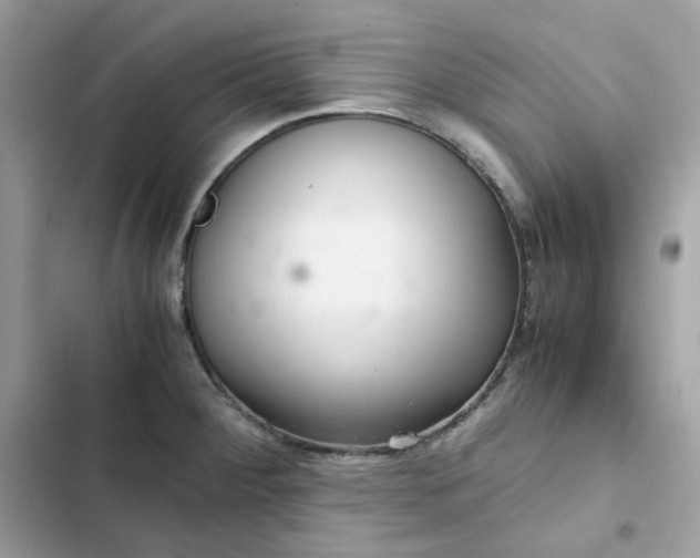 X0000102381284200808151849