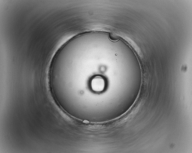 X0000102381285200808151849