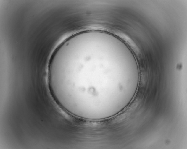 X0000102381286200808151849