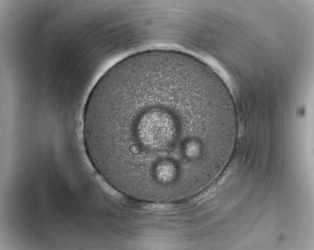 X0000102381287200808151849