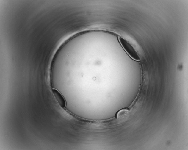 X0000102381288200808151849