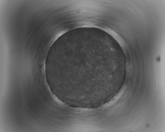 X0000102381289200808151849