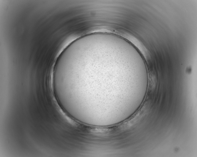 X0000102381290200808151849