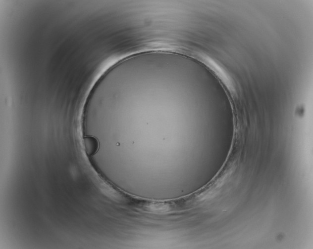 X0000102381291200808151849