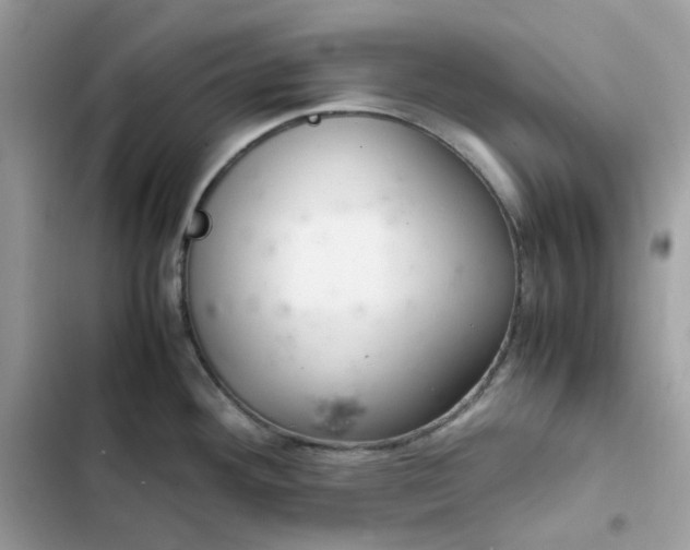 X0000102381292200808151849