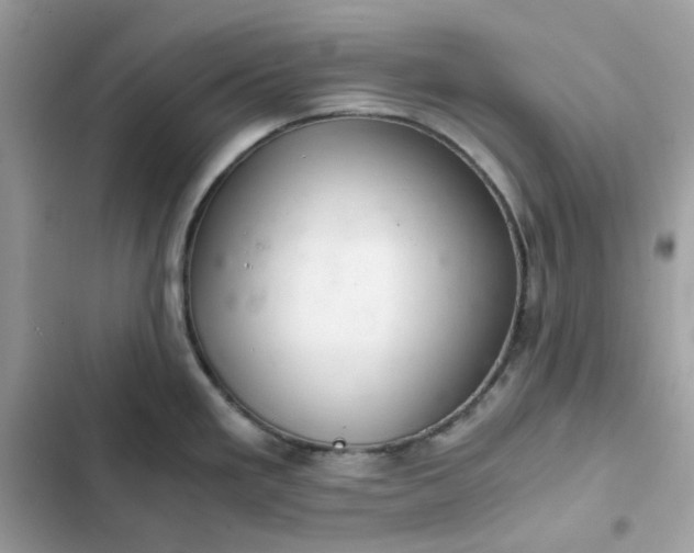 X0000102381293200808151849