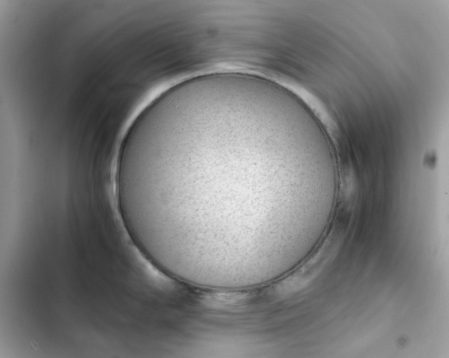 X0000102381294200808151849