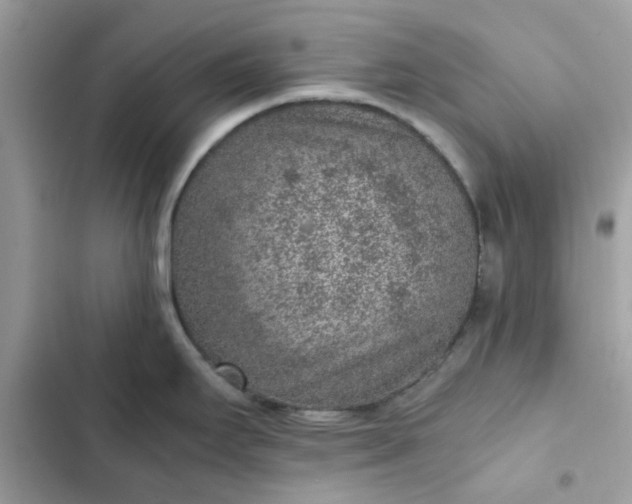 X0000102381295200808151849