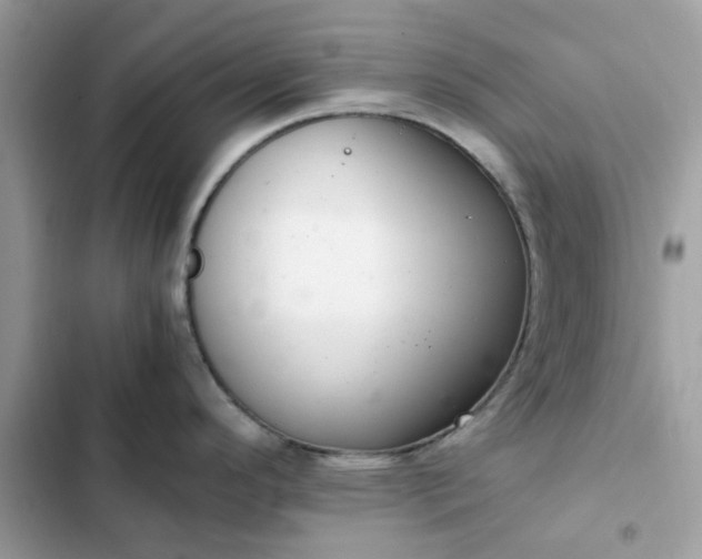 X0000102381296200808151849