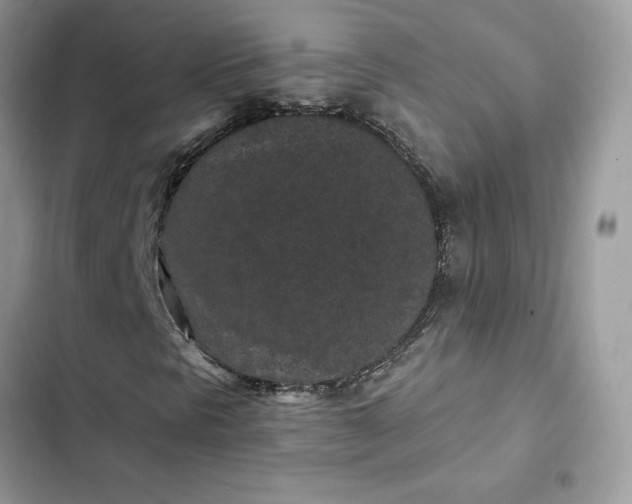 X0000102381297200808151848