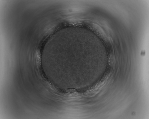 X0000102381298200808151848