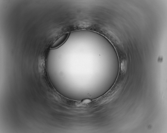 X0000102381299200808151848