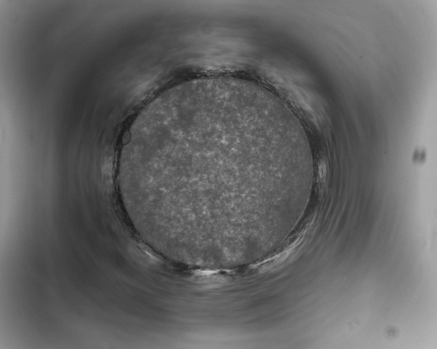 X0000102381300200808151848