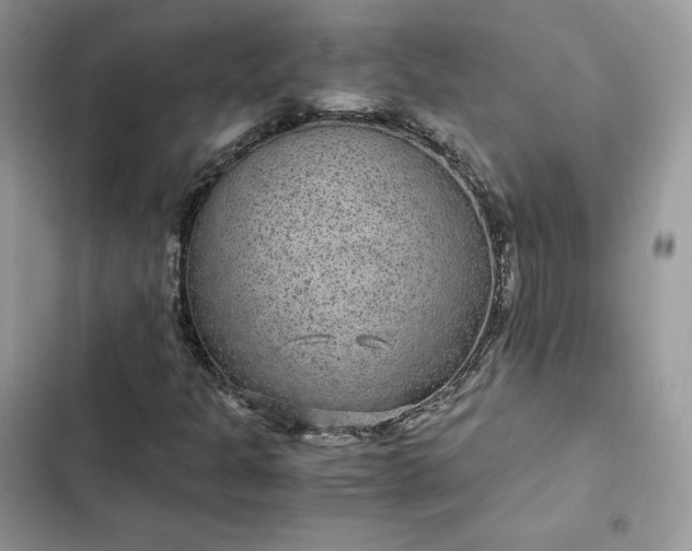 X0000102381301200808151848